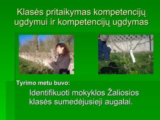 Klasės pritaikymas kompetencijų ugdymui ir kompetencijų ugdymas Tyrimo metu buvo:   Identifikuoti mokyklos Žaliosios klasės sumedėjusieji augalai. 