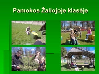 Pamokos Žaliojoje klasėje 