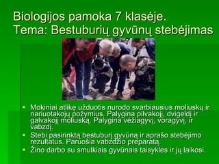 Biologijos pamoka 7 klasėje.  Tema: Bestuburių gyvūnų stebėjimas Mokiniai atlikę užduotis nurodo svarbiausius moliuskų ir nariuotakojų požymius. Palygina pilvakojį, dvigeldį ir galvakojį moliuską. Palygina vėžiagyvį, voragyvį, ir vabzdį.   Stebi pasirinktą bestuburį gyvūną ir aprašo stebėjimo rezultatus. Paruošia vabzdžio preparatą. Žino darbo su smulkiais gyvūnais taisykles ir jų laikosi. 