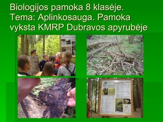 Biologijos pamoka 8 klasėje.  Tema: Aplinkosauga. Pamoka vyksta KMRP Dubravos apyrubėje 