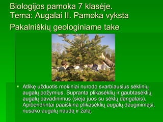 Biologijos pamoka 7 klasėje.  Tema :  Augalai II. Pamoka   vyksta   Pakalniškių geologiniame take   Atlikę užduotis mokiniai nurodo svarbiausius sėklinių augalų požymius. Supranta plikasėklių ir gaubtasėklių augalų pavadinimus (sieja juos su sėklų dangalais). Apibendrintai paaiškina plikasėklių augalų dauginimąsi ,   n usako augalų naudą ir žalą. 