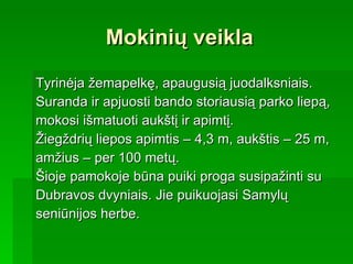 Mokinių veikla Tyrinėja žemapelkę, apaugusią juodalksniais. Suranda ir apjuosti bando storiausią parko liepą,  mokosi išmatuoti aukštį ir apimtį.  Žiegždrių liepos apimtis – 4,3 m, aukštis – 25 m, amžius – per 100 metų. Šioje pamokoje būna puiki proga susipažinti su Dubravos dvyniais. Jie puikuojasi Samylų  seniūnijos herbe. 