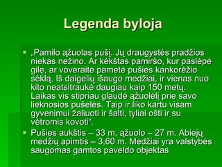 Legenda byloja „ Pamilo ąžuolas pušį. Jų draugystės pradžios niekas nežino. Ar kėkštas pamiršo, kur paslėpė gilę, ar voveraitė pametė pušies kankorėžio sėklą. Iš daigelių išaugo medžiai, ir vienas nuo kito neatsitraukė daugiau kaip 150 metų. Laikas vis stipriau glaudė ąžuolėlį prie savo lieknosios pušelės. Taip ir liko kartu visam gyvenimui žaliuoti ir šalti, tyliai ošti ir su vėtromis kovoti“.  Pušies aukštis – 33 m, ąžuolo – 27 m. Abiejų medžių apimtis – 3,60 m. Medžiai yra valstybės saugomas gamtos paveldo objektas  