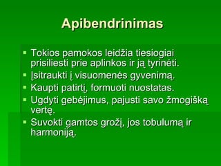 Apibendrinimas Tokios pamokos leidžia tiesiogiai prisiliesti prie aplinkos ir ją tyrinėti. Įsitraukti į visuomenės gyvenimą.  Kaupti patirtį, formuoti nuostatas. Ugdyti gebėjimus, pajusti savo žmogišką vertę. Suvokti gamtos grožį, jos tobulumą ir harmoniją.  
