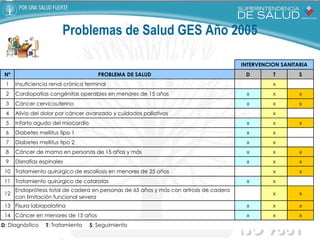 Problemas de Salud GES Año 2005 