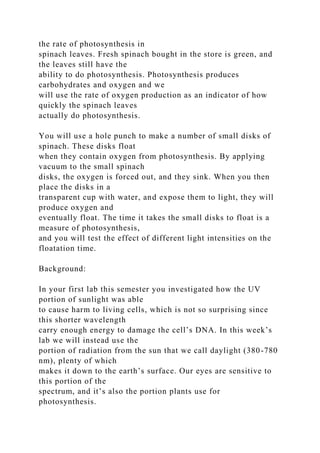 the rate of photosynthesis in
spinach leaves. Fresh spinach bought in the store is green, and
the leaves still have the
ability to do photosynthesis. Photosynthesis produces
carbohydrates and oxygen and we
will use the rate of oxygen production as an indicator of how
quickly the spinach leaves
actually do photosynthesis.
You will use a hole punch to make a number of small disks of
spinach. These disks float
when they contain oxygen from photosynthesis. By applying
vacuum to the small spinach
disks, the oxygen is forced out, and they sink. When you then
place the disks in a
transparent cup with water, and expose them to light, they will
produce oxygen and
eventually float. The time it takes the small disks to float is a
measure of photosynthesis,
and you will test the effect of different light intensities on the
floatation time.
Background:
In your first lab this semester you investigated how the UV
portion of sunlight was able
to cause harm to living cells, which is not so surprising since
this shorter wavelength
carry enough energy to damage the cell’s DNA. In this week’s
lab we will instead use the
portion of radiation from the sun that we call daylight (380-780
nm), plenty of which
makes it down to the earth’s surface. Our eyes are sensitive to
this portion of the
spectrum, and it’s also the portion plants use for
photosynthesis.
 