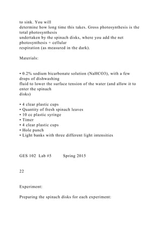 to sink. You will
determine how long time this takes. Gross photosynthesis is the
total photosynthesis
undertaken by the spinach disks, where you add the net
photosynthesis + cellular
respiration (as measured in the dark).
Materials:
• 0.2% sodium bicarbonate solution (NaHCO3), with a few
drops of dishwashing
fluid to lower the surface tension of the water (and allow it to
enter the spinach
disks)
• 4 clear plastic cups
• Quantity of fresh spinach leaves
• 10 cc plastic syringe
• Timer
• 4 clear plastic cups
• Hole punch
• Light banks with three different light intensities
GES 102 Lab #5 Spring 2015
22
Experiment:
Preparing the spinach disks for each experiment:
 