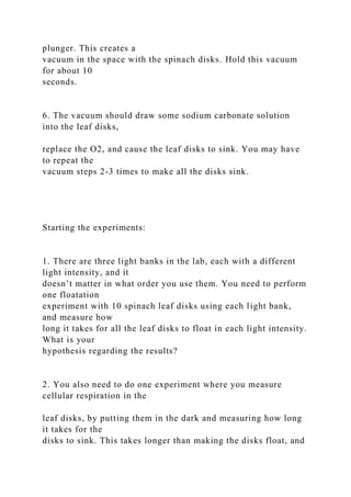 plunger. This creates a
vacuum in the space with the spinach disks. Hold this vacuum
for about 10
seconds.
6. The vacuum should draw some sodium carbonate solution
into the leaf disks,
replace the O2, and cause the leaf disks to sink. You may have
to repeat the
vacuum steps 2-3 times to make all the disks sink.
Starting the experiments:
1. There are three light banks in the lab, each with a different
light intensity, and it
doesn’t matter in what order you use them. You need to perform
one floatation
experiment with 10 spinach leaf disks using each light bank,
and measure how
long it takes for all the leaf disks to float in each light intensity.
What is your
hypothesis regarding the results?
2. You also need to do one experiment where you measure
cellular respiration in the
leaf disks, by putting them in the dark and measuring how long
it takes for the
disks to sink. This takes longer than making the disks float, and
 