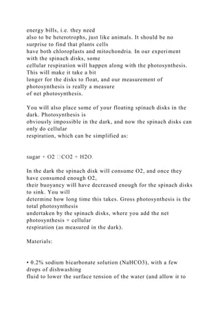 energy bills, i.e. they need
also to be heterotrophs, just like animals. It should be no
surprise to find that plants cells
have both chloroplasts and mitochondria. In our experiment
with the spinach disks, some
cellular respiration will happen along with the photosynthesis.
This will make it take a bit
longer for the disks to float, and our measurement of
photosynthesis is really a measure
of net photosynthesis.
You will also place some of your floating spinach disks in the
dark. Photosynthesis is
obviously impossible in the dark, and now the spinach disks can
only do cellular
respiration, which can be simplified as:
In the dark the spinach disk will consume O2, and once they
have consumed enough O2,
their buoyancy will have decreased enough for the spinach disks
to sink. You will
determine how long time this takes. Gross photosynthesis is the
total photosynthesis
undertaken by the spinach disks, where you add the net
photosynthesis + cellular
respiration (as measured in the dark).
Materials:
• 0.2% sodium bicarbonate solution (NaHCO3), with a few
drops of dishwashing
fluid to lower the surface tension of the water (and allow it to
 