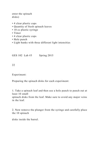 enter the spinach
disks)
• 4 clear plastic cups
• Quantity of fresh spinach leaves
• 10 cc plastic syringe
• Timer
• 4 clear plastic cups
• Hole punch
• Light banks with three different light intensities
GES 102 Lab #5 Spring 2015
22
Experiment:
Preparing the spinach disks for each experiment:
1. Take a spinach leaf and then use a hole punch to punch out at
least 10 small
spinach disks from the leaf. Make sure to avoid any major veins
in the leaf.
2. Now remove the plunger from the syringe and carefully place
the 10 spinach
disks inside the barrel.
 