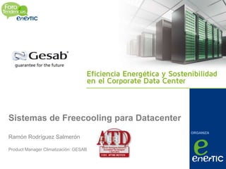 ORGANIZA
Sistemas de Freecooling para Datacenter
Ramón Rodríguez Salmerón
Product Manager Climatización: GESAB
 