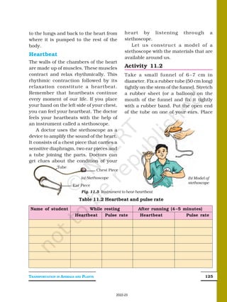 Class 7 science chapter 11 transportation in plants and animals.pdf