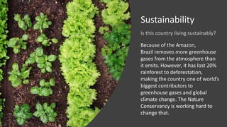 Sustainability
Because of the Amazon,
Brazil removes more greenhouse
gases from the atmosphere than
it emits. However, it ...