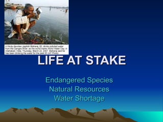 LIFE AT STAKE Endangered Species Natural Resources Water Shortage 