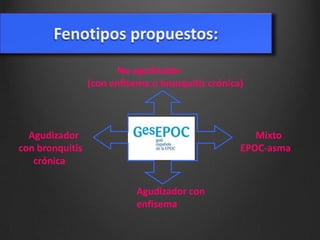 No agudizador
(con enfisema o bronquitis crónica)

Agudizador
con bronquitis
crónica

Mixto
EPOC-asma

Agudizador con
enfisema

 