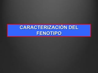 CARACTERIZACIÓN DEL
FENOTIPO

 