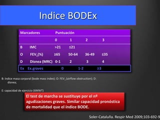 Indice BODEx

Ex Ex.graves

0

1-2

≥3

B: índice masa corporal (bode mass index); O: FEV1 (airflow obstruction); D:
disnea;
E: capacidad de ejercicio (6MWT)

Soler-Cataluña. Respir Med 2009;103-692-9

 