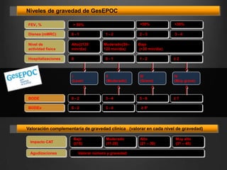 Niveles de gravedad de GesEPOC
FEV1 %

<50%

> 50%
1-2

<30%

2-3

3-4

Disnea (mMRC)

0-1

Nivel de
actividad física

Alto(≥120
min/día)

Hospitalizaciones

0

0-1

1-2

≥2

I
(Leve)

II
(Moderado)

III
(Grave)

IV
(Muy grave)

BODE

0-2

3-4

5-6

≥7

BODEx

0-2

3-4

≥ 5*

Moderado(30–
120 min/día)

Bajo
(<30 min/día)

Valoración complementaria de gravedad clínica (valorar en cada nivel de gravedad)
Impacto CAT
Agudizaciones

Bajo
(≤10)

Moderado
(11-20)

Valorar número y gravedad

Alto
(21 – 30)

Muy alto
(31 – 40)

 