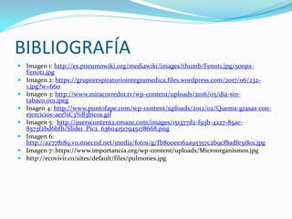 BIBLIOGRAFÍA
 Imagen 1: http://es.pneumowiki.org/mediawiki/images/thumb/Fenot1.jpg/500px-
Fenot1.jpg
 Imagen 2: https://gruporespiratoriointegramedica.files.wordpress.com/2017/06/232-
1.jpg?w=660
 Imagen 3: http://www.miracorredor.tv/wp-content/uploads/2016/05/dia-sin-
tabaco.001.jpeg
 Inagen 4: http://www.puntofape.com/wp-content/uploads/2012/02/Quema-grasas-con-
ejercicios-aer%C3%B3bicos.gif
 Imagen 5: http://userscontent2.emaze.com/images/151377d2-f93b-4227-85ae-
8573f2bd6bfb/Slide1_Pic2_636041517945178668.png
 Imagen 6:
http://az778189.vo.msecnd.net/media/fotos/g/fb800ee162a95357c2b9cf8adfe31801.jpg
 Imagen 7: https://www.importancia.org/wp-content/uploads/Microorganismos.jpg
 http://ecovivir.co/sites/default/files/pulmones.jpg
 