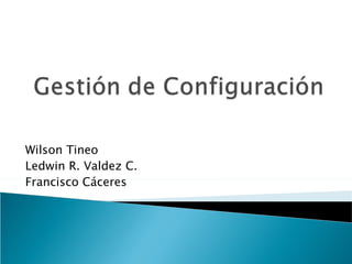 Wilson Tineo
Ledwin R. Valdez C.
Francisco Cáceres
 