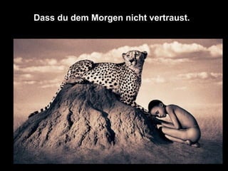 Dass du dem Morgen nicht vertraust.  