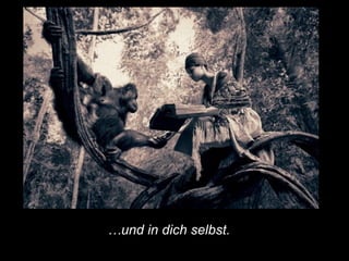 … und in dich selbst.   