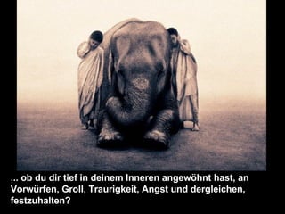 ... ob du dir tief in deinem Inneren angewöhnt hast, an Vorwürfen, Groll, Traurigkeit, Angst und dergleichen, festzuhalten? 