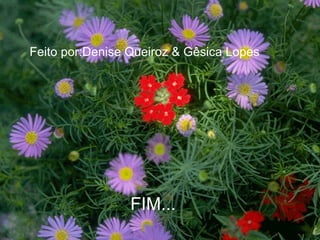 Feito por:Denise Queiroz & Gêsica Lopes FIM... 