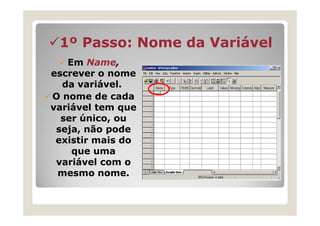 1º Passo: Nome da Variável
   Em Name,
escrever o nome
  da variável.
O nome de cada
variável tem que
  ser único, ou
 seja, não pode
 existir mais do
    que uma
 variável com o
 mesmo nome.
 