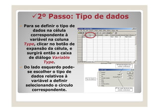 2º Passo: Tipo de dados
Para se definir o tipo de
     dados na célula
    correspondente à
   variável na coluna
Type, clicar no botão de
 expansão da célula, e
  surgirá então a caixa
   de diálogo Variable
          Type.
Do lado esquerdo pode-
  se escolher o tipo de
    dados relativos à
    variável a definir
 selecionando o círculo
     correspondente.
 
