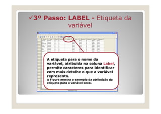 3º Passo: LABEL - Etiqueta da
          variável




    A etiqueta para o nome da
    variável, atribuída na coluna Label,
    permite caracteres para identificar
    com mais detalhe o que a variável
    representa.
    A Figura mostra o exemplo da atribuição da
    etiqueta para a variável sexo.
 
