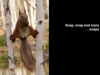 Snap, snap and more snaps. .  . 