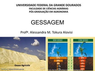 GESSAGEM
Profª. Alessandra M. Tokura Alovisi
UNIVERSIDADE FEDERAL DA GRANDE DOURADOS
FACULDADE DE CIÊNCIAS AGRÁRIAS
PÓS-GRADUAÇÃO EM AGRONOMIA
Fonte: http://www.agronelliagricola.com.br/gessoAgricola.asp
 