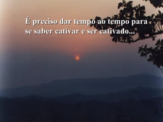 É preciso dar tempo ao tempo paraÉ preciso dar tempo ao tempo para
se saber cativar e ser cativado...se saber cativar e ser cativado...
 