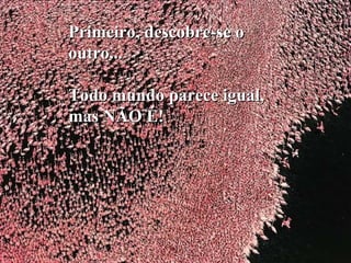 Primeiro, descobre-se oPrimeiro, descobre-se o
outro...outro...
Todo mundo parece igual,Todo mundo parece igual,
mas NÃO É!mas NÃO É!
 