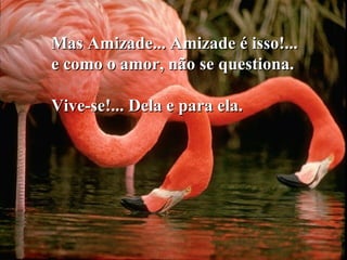 Mas Amizade... Amizade é isso!...Mas Amizade... Amizade é isso!...
e como o amor, não se questiona.e como o amor, não se questiona.
Vive-se!... Dela e para ela.Vive-se!... Dela e para ela.
 