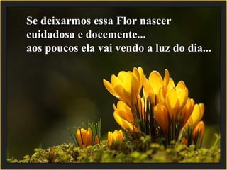 Se deixarmos essa Flor nascerSe deixarmos essa Flor nascer
cuidadosa e docemente...cuidadosa e docemente...
aos poucos ela vai vendo a luz do dia...aos poucos ela vai vendo a luz do dia...
 