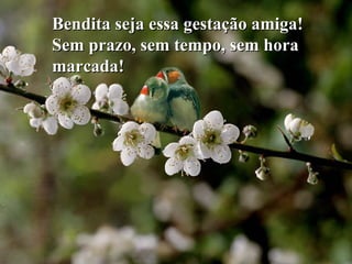 Bendita seja essa gestação amiga!Bendita seja essa gestação amiga!
Sem prazo, sem tempo, sem horaSem prazo, sem tempo, sem hora
marcada!marcada!
 