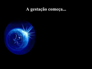 A gestação começa...A gestação começa...
 