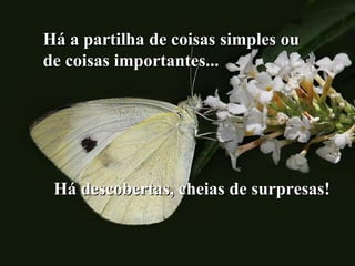 Há a partilha de coisas simples ouHá a partilha de coisas simples ou
de coisas importantes...de coisas importantes...
Há descobertas, cheias de surpresas!Há descobertas, cheias de surpresas!
 