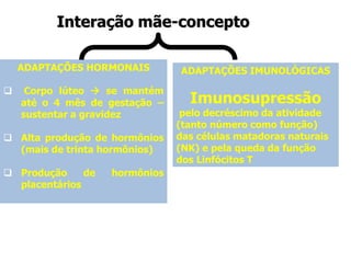 ADAPTAÇÕES HORMONAIS
 Corpo lúteo  se mantém
até o 4 mês de gestação –
sustentar a gravidez
 Alta produção de hormônios
(mais de trinta hormônios)
 Produção de hormônios
placentários
ADAPTAÇÕES IMUNOLÓGICAS
Imunosupressão
pelo decréscimo da atividade
(tanto número como função)
das células matadoras naturais
(NK) e pela queda da função
dos Linfócitos T
Interação mãe-concepto
 