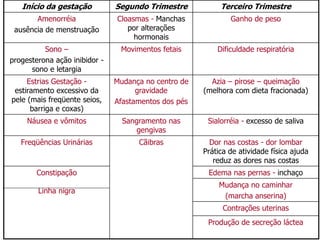 ALTERAÇÕES MATERNAS
Início da gestação Segundo Trimestre Terceiro Trimestre
Amenorréia
ausência de menstruação
Cloasmas - Manchas
por alterações
hormonais
Ganho de peso
Sono –
progesterona ação inibidor -
sono e letargia
Movimentos fetais Dificuldade respiratória
Estrias Gestação -
estiramento excessivo da
pele (mais freqüente seios,
barriga e coxas)
Mudança no centro de
gravidade
Afastamentos dos pés
Azia – pirose – queimação
(melhora com dieta fracionada)
Náusea e vômitos Sangramento nas
gengivas
Sialorréia - excesso de saliva
Freqüências Urinárias Cãibras Dor nas costas - dor lombar
Prática de atividade física ajuda
reduz as dores nas costas
Constipação
Linha nigra
Edema nas pernas - inchaço
Mudança no caminhar
(marcha anserina)
Contrações uterinas
Produção de secreção láctea
 