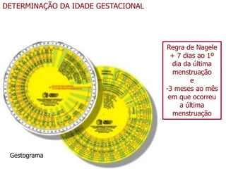 DETERMINAÇÃO DA IDADE GESTACIONAL
Regra de Nagele
+ 7 dias ao 1º
dia da última
menstruação
e
-3 meses ao mês
em que ocorreu
a última
menstruação
Gestograma
 