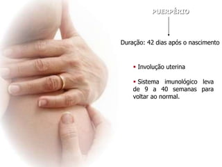 PUERPÉRIO
 Involução uterina
 Sistema imunológico leva
de 9 a 40 semanas para
voltar ao normal.
Duração: 42 dias após o nascimento
 