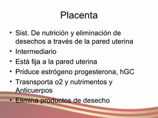 Placenta Sist. De nutrición y eliminación de desechos a través de la pared uterina  Intermediario  Está fija a la pared uterina Priduce estrógeno progesterona, hGC  Trasnsporta o2 y nutrimentos y Anticuerpos Elimina productos de desecho 