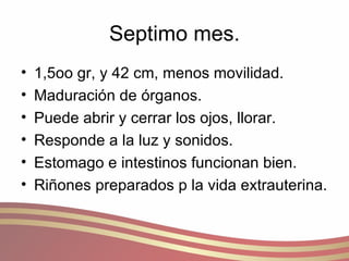 Septimo mes. 1,5oo gr, y 42 cm, menos movilidad. Maduración de órganos. Puede abrir y cerrar los ojos, llorar. Responde a la luz y sonidos. Estomago e intestinos funcionan bien. Riñones preparados p la vida extrauterina. 