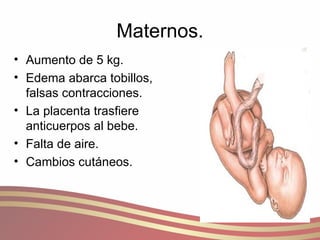 Maternos. Aumento de 5 kg. Edema abarca tobillos, falsas contracciones. La placenta trasfiere anticuerpos al bebe. Falta de aire. Cambios cutáneos. 