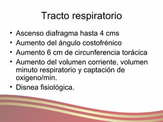 Tracto respiratorio Ascenso diafragma hasta 4 cms Aumento del ángulo costofrénico  Aumento 6 cm de circunferencia torácica Aumento del volumen corriente, volumen minuto respiratorio y captación de oxigeno/min. Disnea fisiológica. 