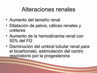 Alteraciones renales Aumento del tamaño renal Dilatación de pelvis, cálices renales y uréteres Aumento de la hemodinamia renal con 50% del FG Disminución del umbral tubular renal para el bicarbonato, estimulación del centro respiratorio por la progesterona 