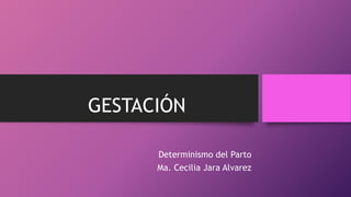 GESTACIÓN
Determinismo del Parto
Ma. Cecilia Jara Alvarez
 